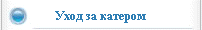 Уход за катером